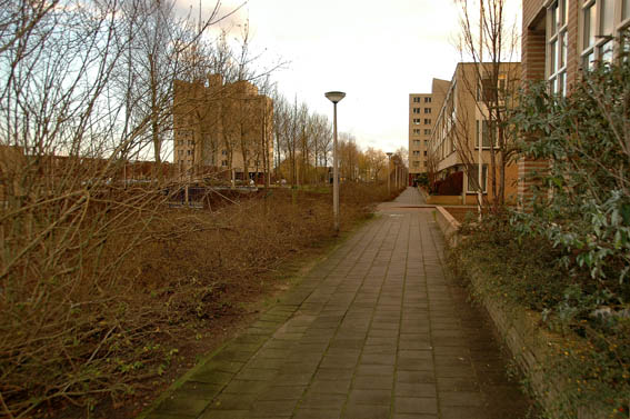 Click to see next picture