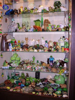 Vitrine met kikkers en padden