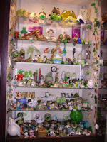 Vitrine met kikkers en padden