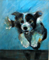 rennende hond
