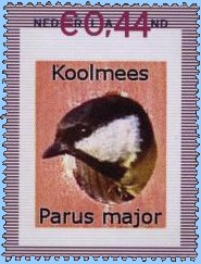 Koolmees kijkt uit nestkast