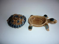 Asbak-schildpad
