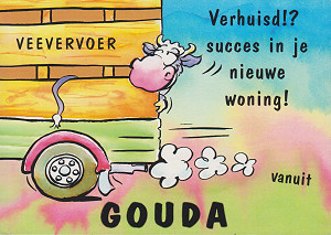 Paars-witte koe uit Gouda op ansichtkaart