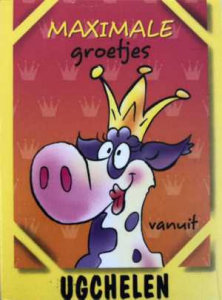 Paars-witte koe uit Ugchelen op ansichtkaart