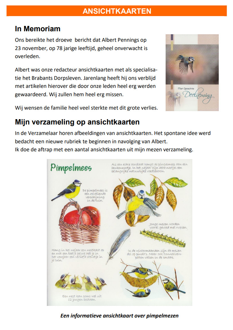 De Verzamelaar 2023 nummer 1 pagina 12